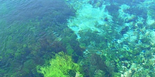 Gobernanza del Agua en América Latina y el Caribe