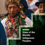 UN Indigenous Report