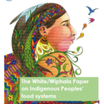 white wiphala paper on indigenous peoples food systems