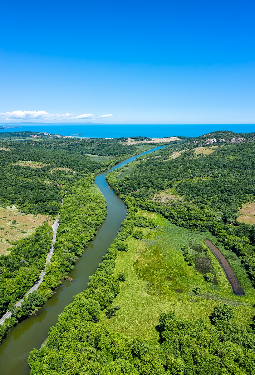 UNDP and partners launch Online Course on Ecosystem Restoration