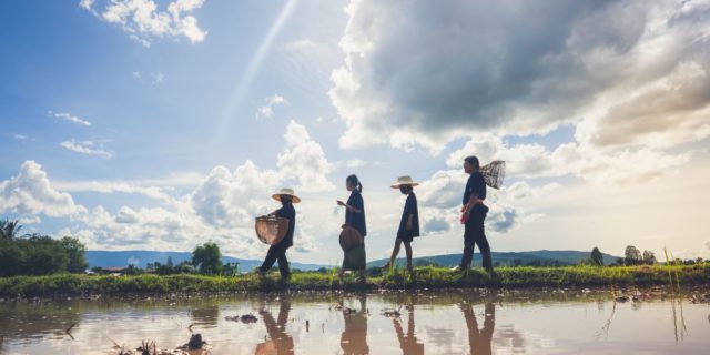 A Human Rights Based Approach (HRBA) to Integrated Water Resources Management (IWRM)