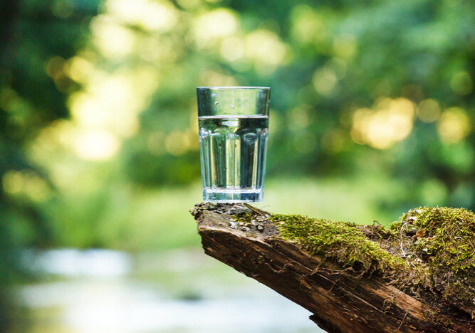 Glass in Branch